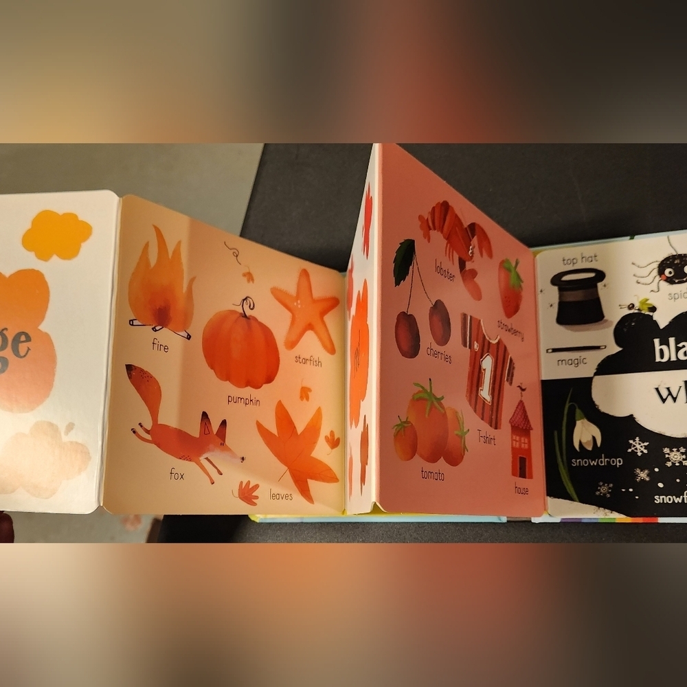 Usborne Fold Out Colors Book - Picture 3 of 3